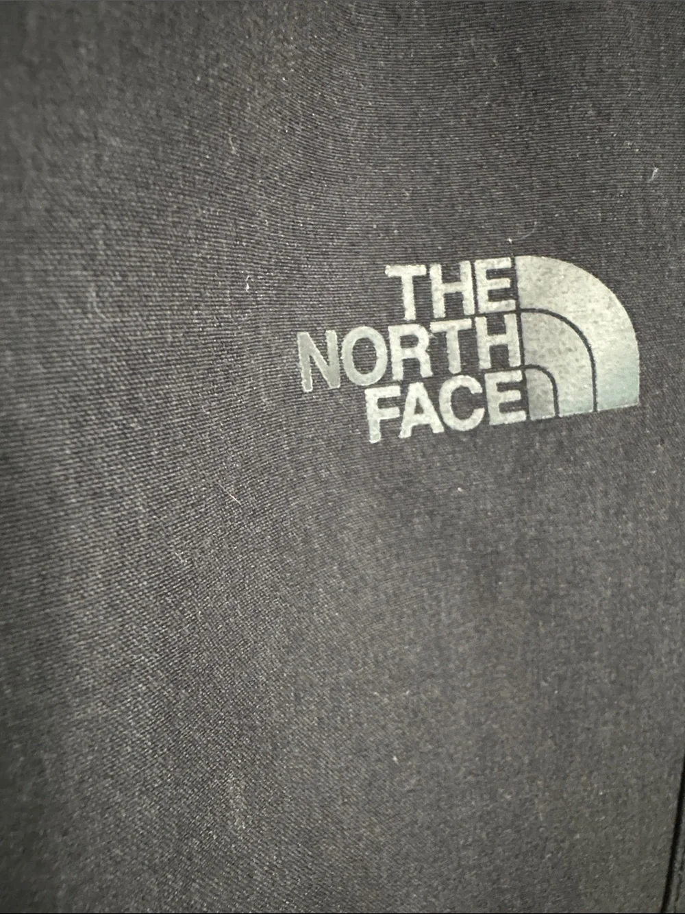 The North Face Men’s Black Cargo Softshell Pants